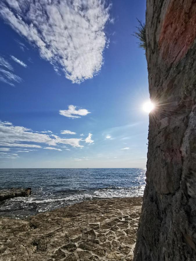 Nina Deluxe Superior 5 Star Apartment, Your Piece Of Heaven By The Sea & Park Novigrad  Exterior photo